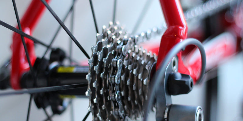 Keep Your Bike in Top Form